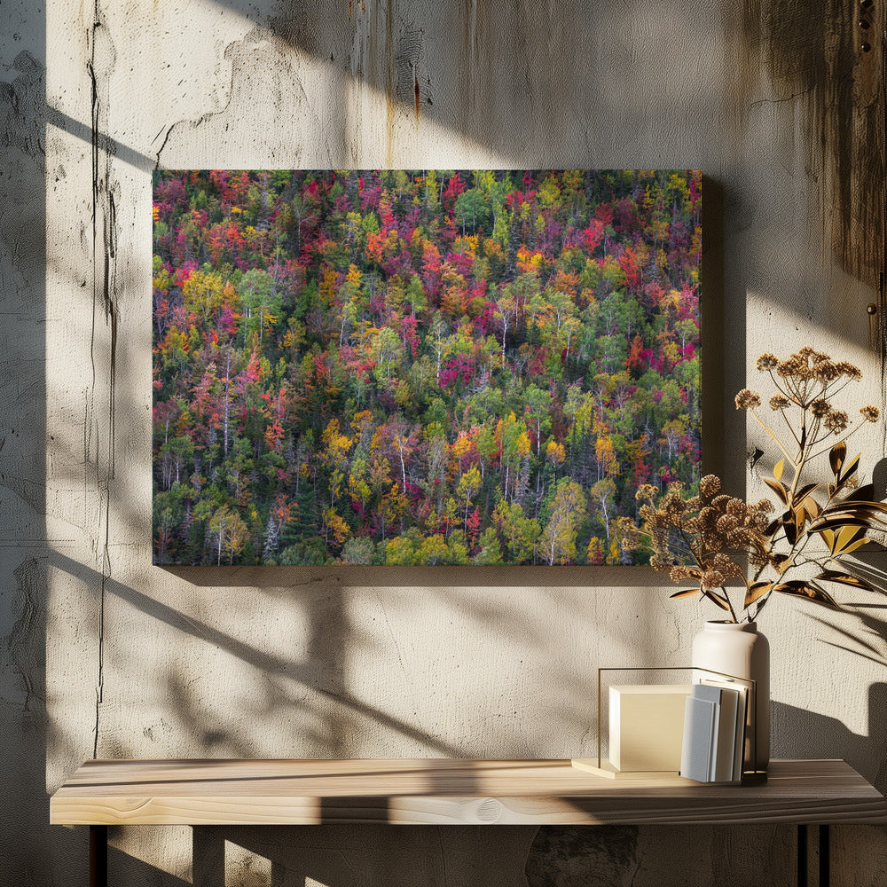 Color palette | Canvas