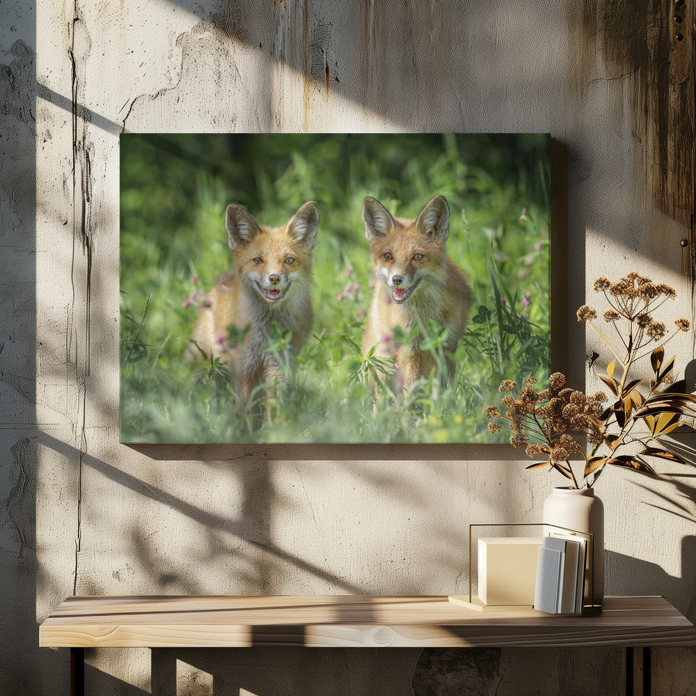 Brothers | Canvas