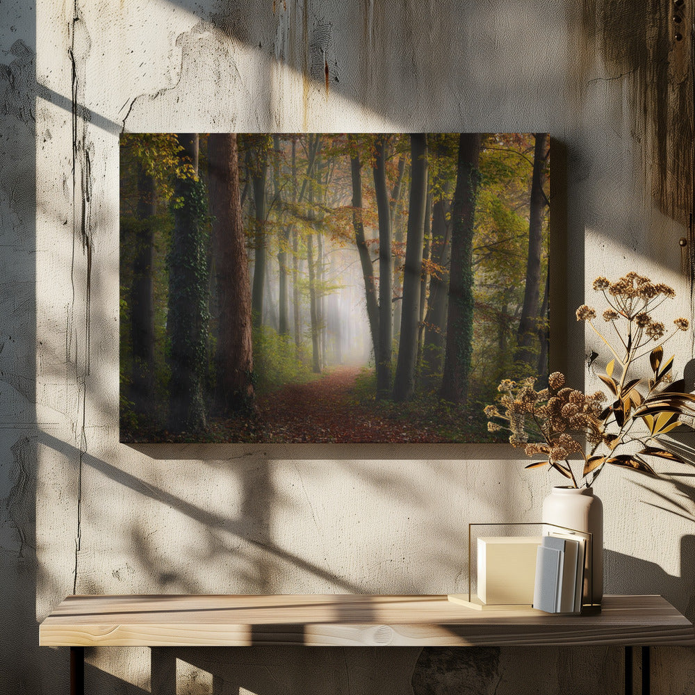 Autumn colorful forest | Canvas