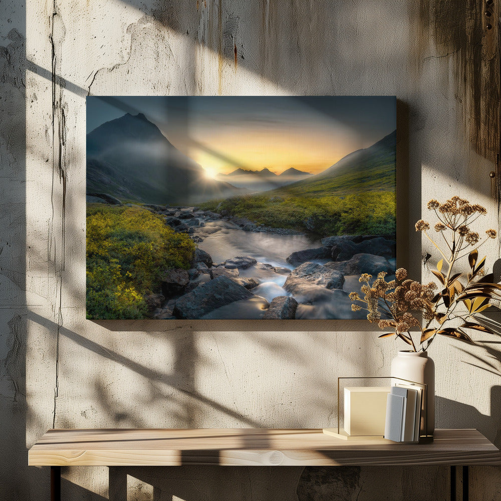 Dreaming | Canvas