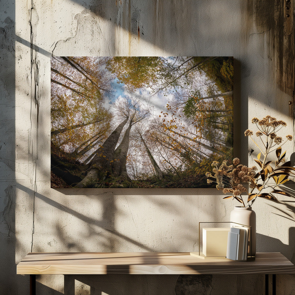 Forest | Canvas