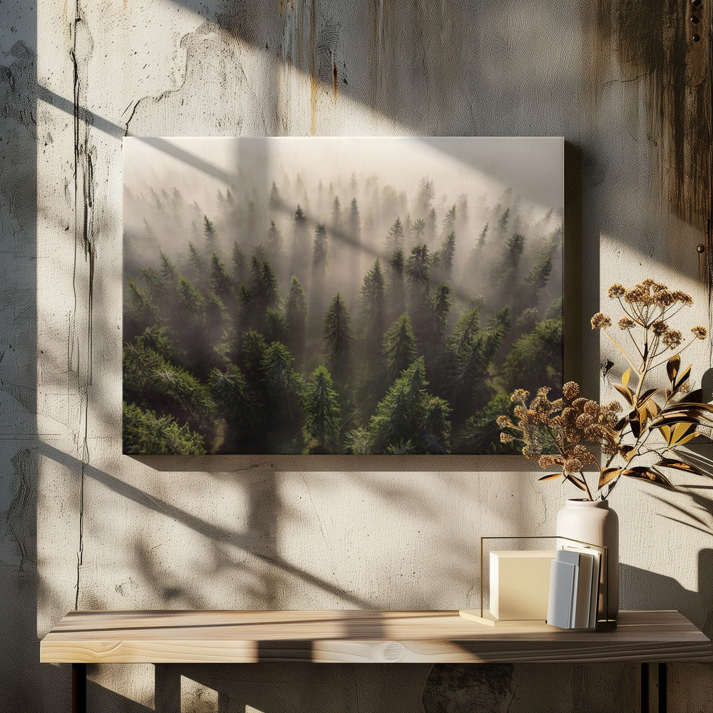 The Army of Firs | Canvas