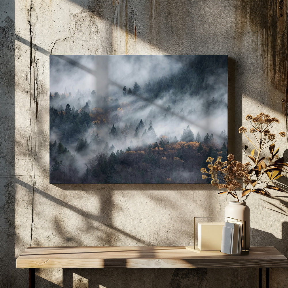 A path of the fog | Canvas