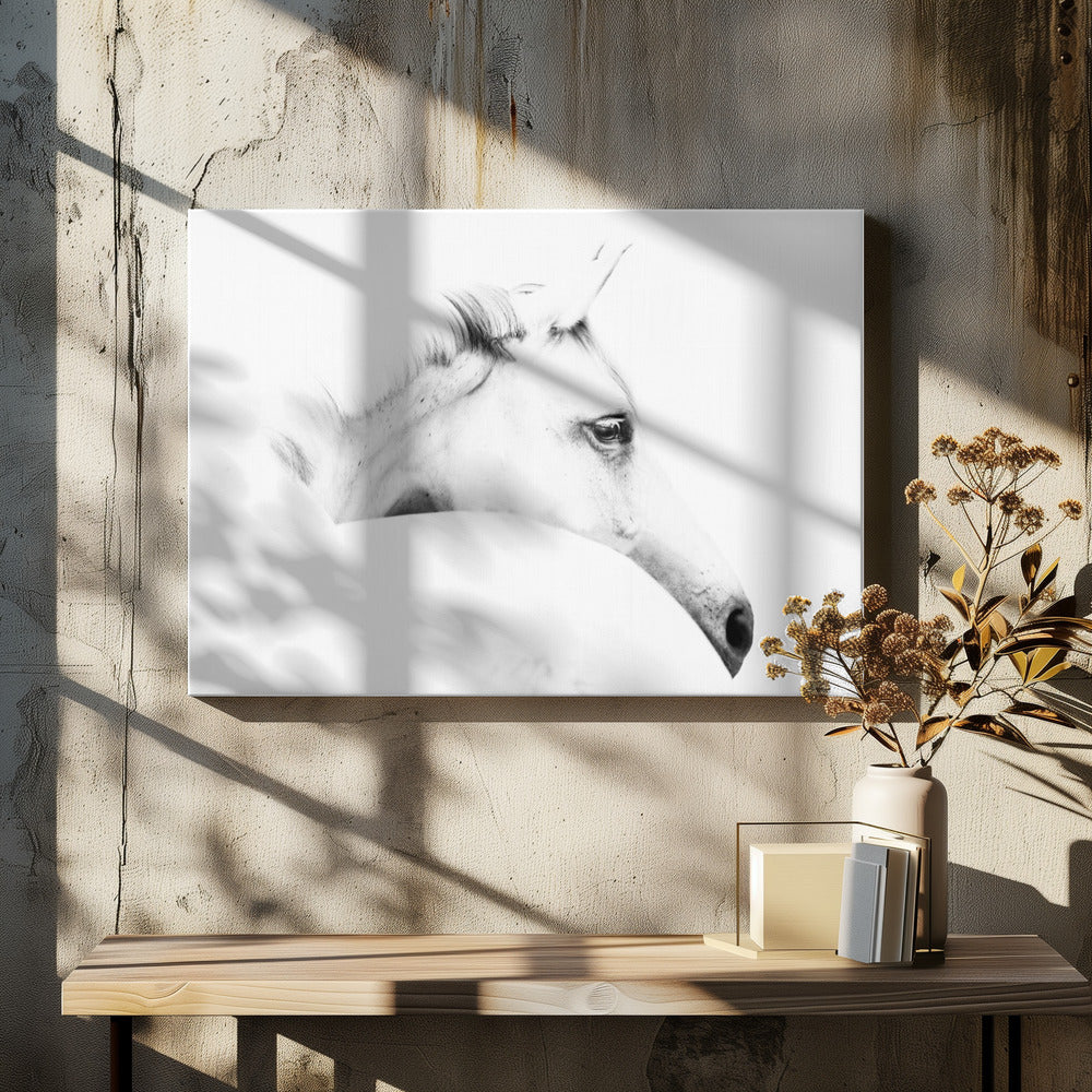horse and minimalism | Canvas