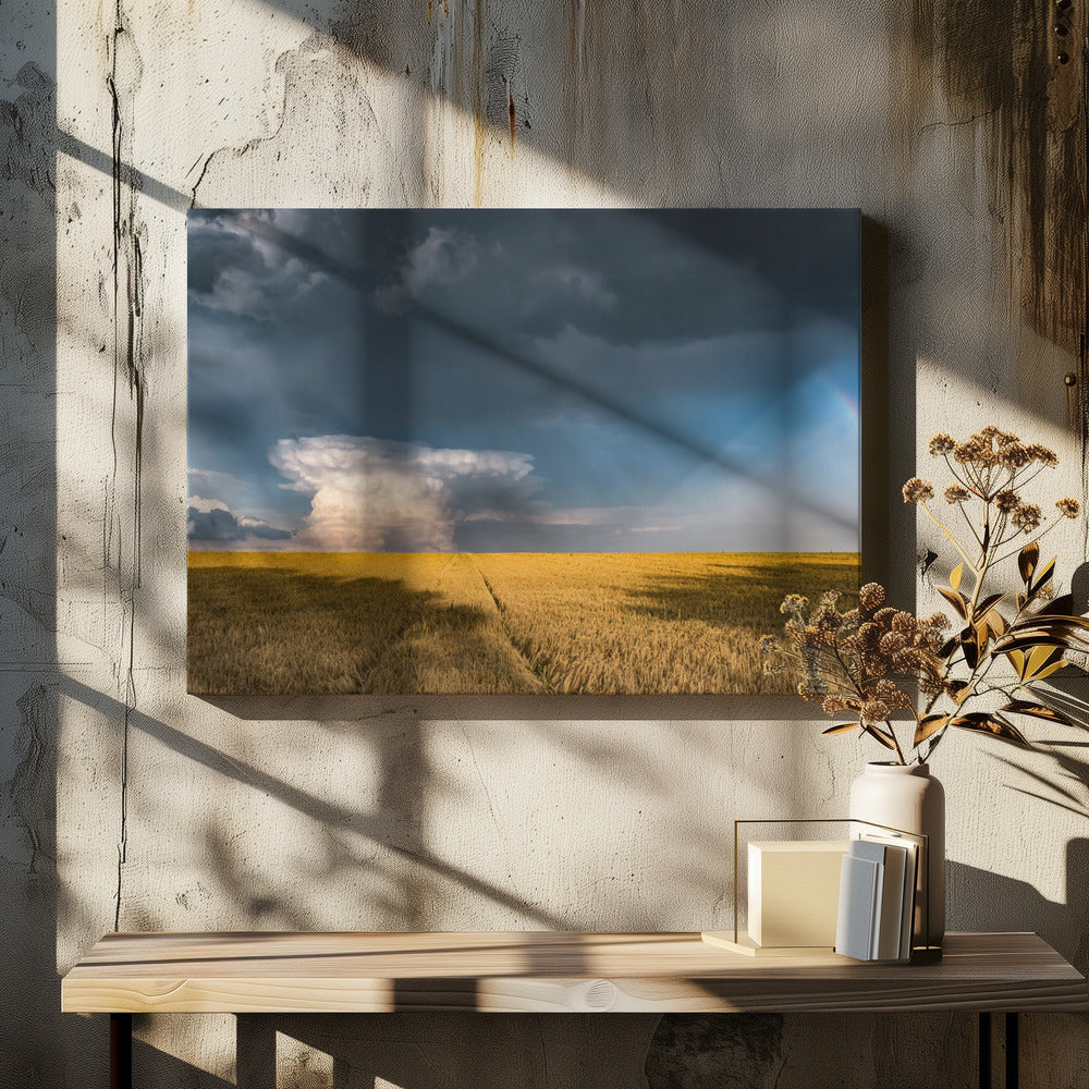 Gold and Thunder | Canvas