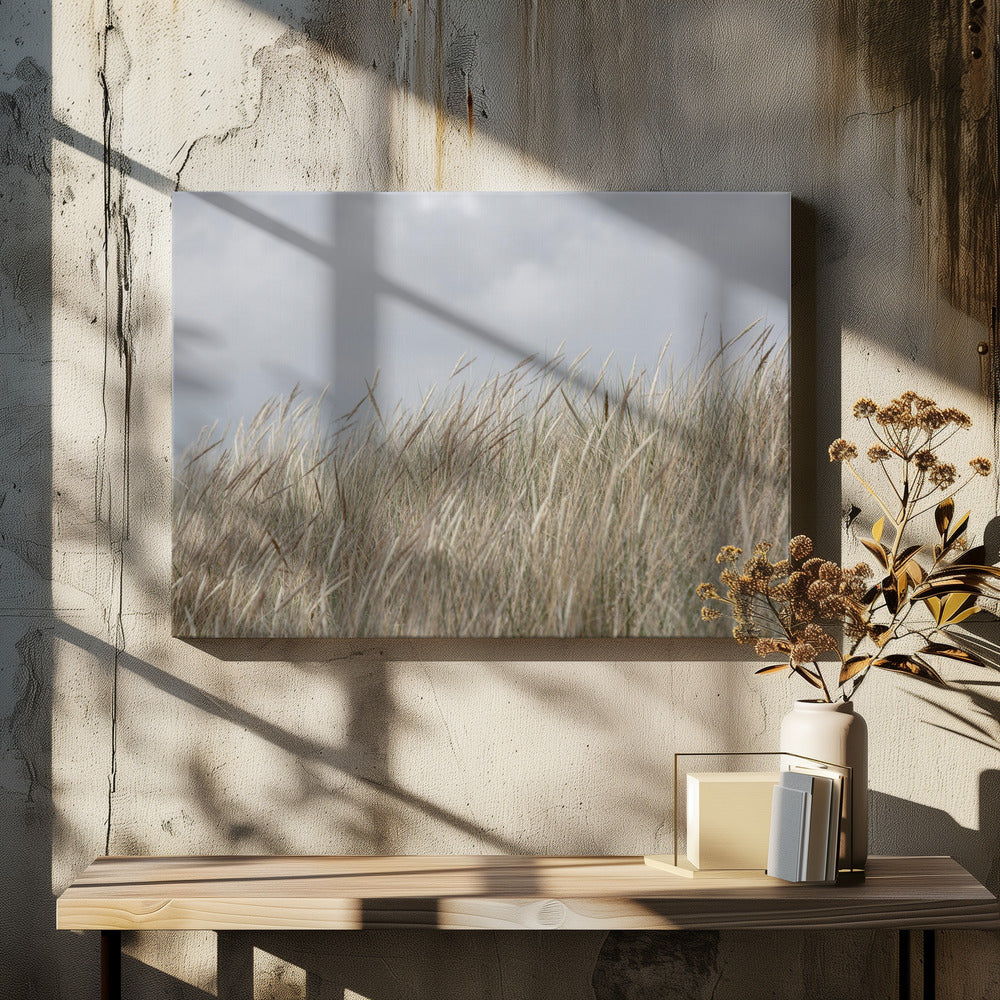 Dunes and Clouds | Canvas