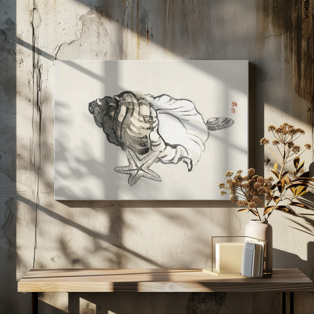 Star Fish and Conch | Canvas