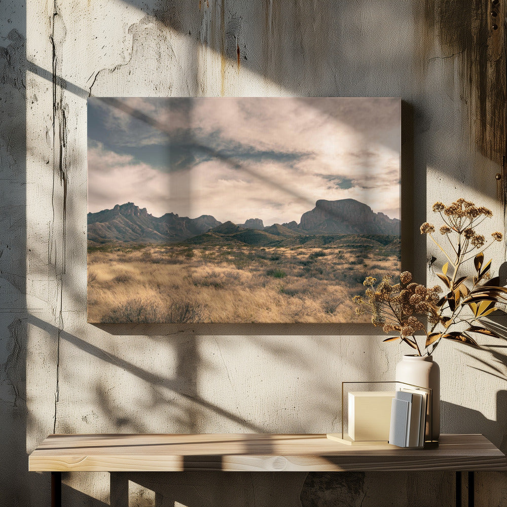 Isolation (1 of 1) | Canvas