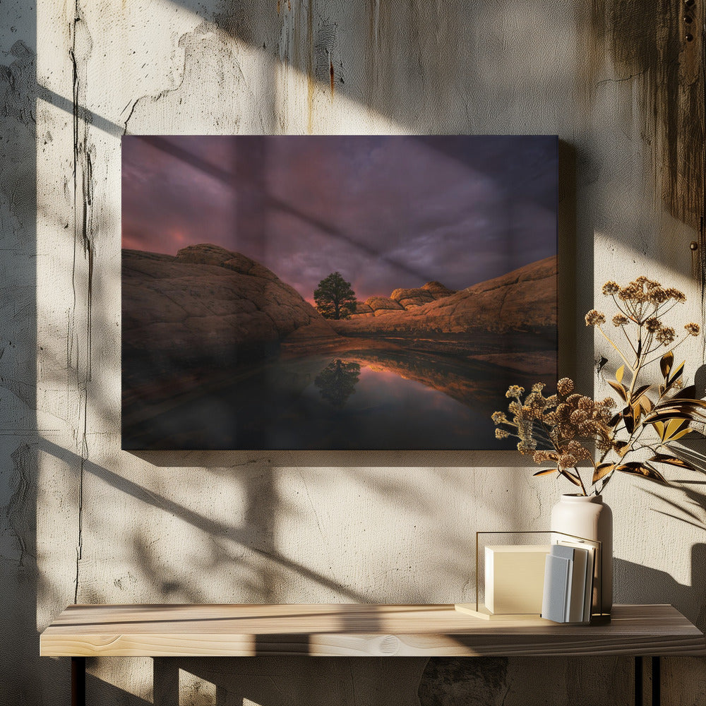 Morning Light | Canvas
