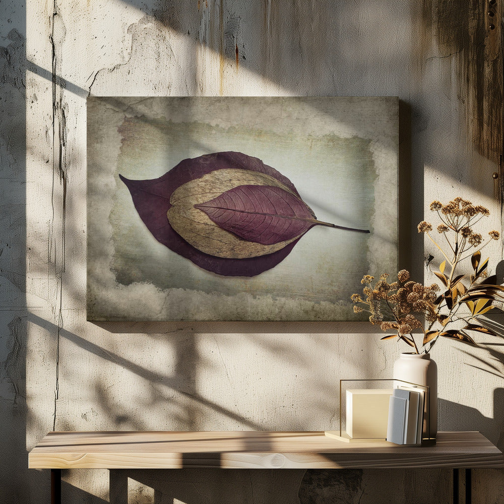 The Story of Nature | Canvas