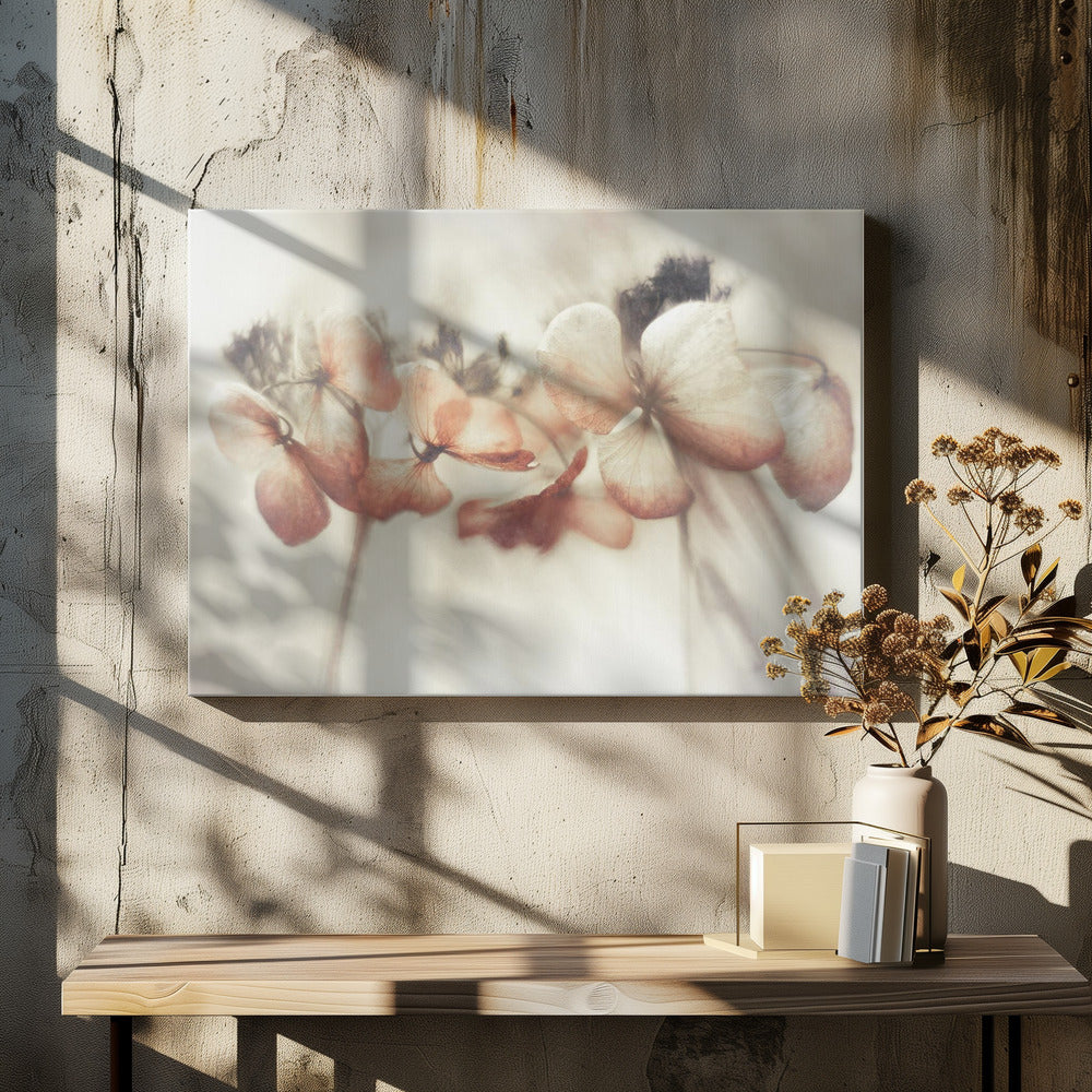 Bloomed | Canvas