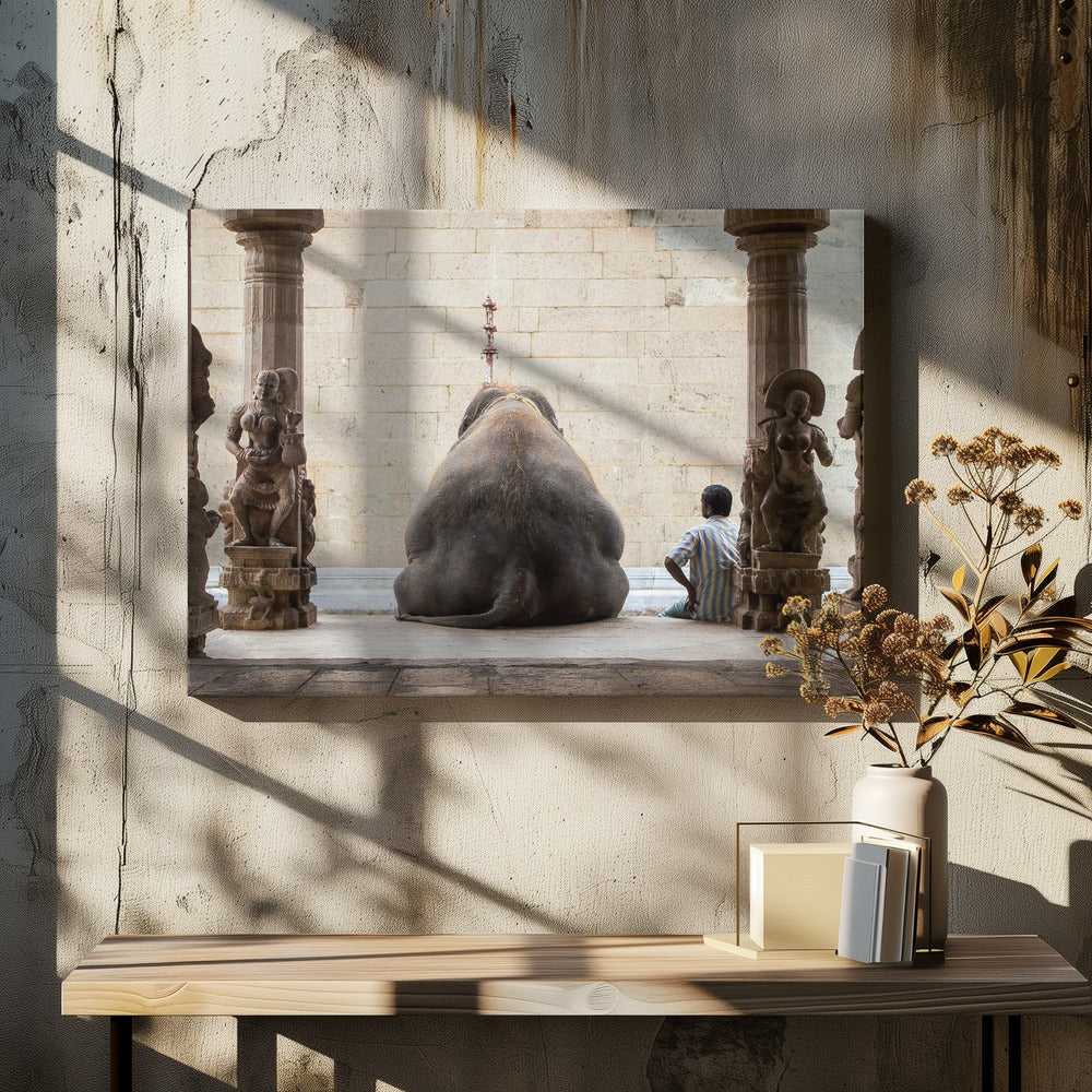 The Elephant &amp; its Mahot | Canvas