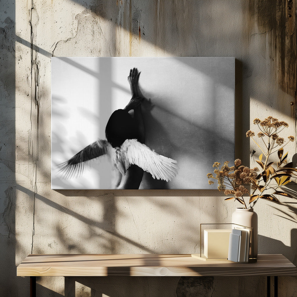 not fly | Canvas