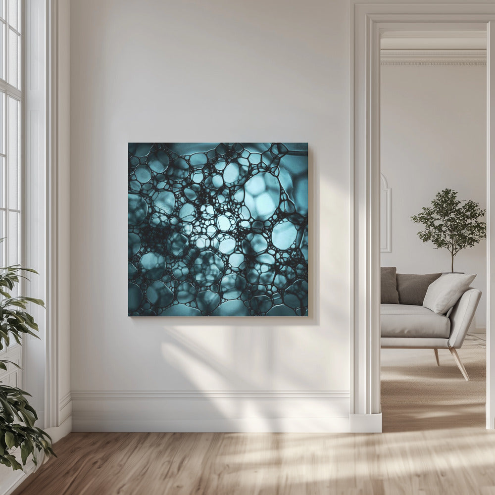 S O A P | Canvas