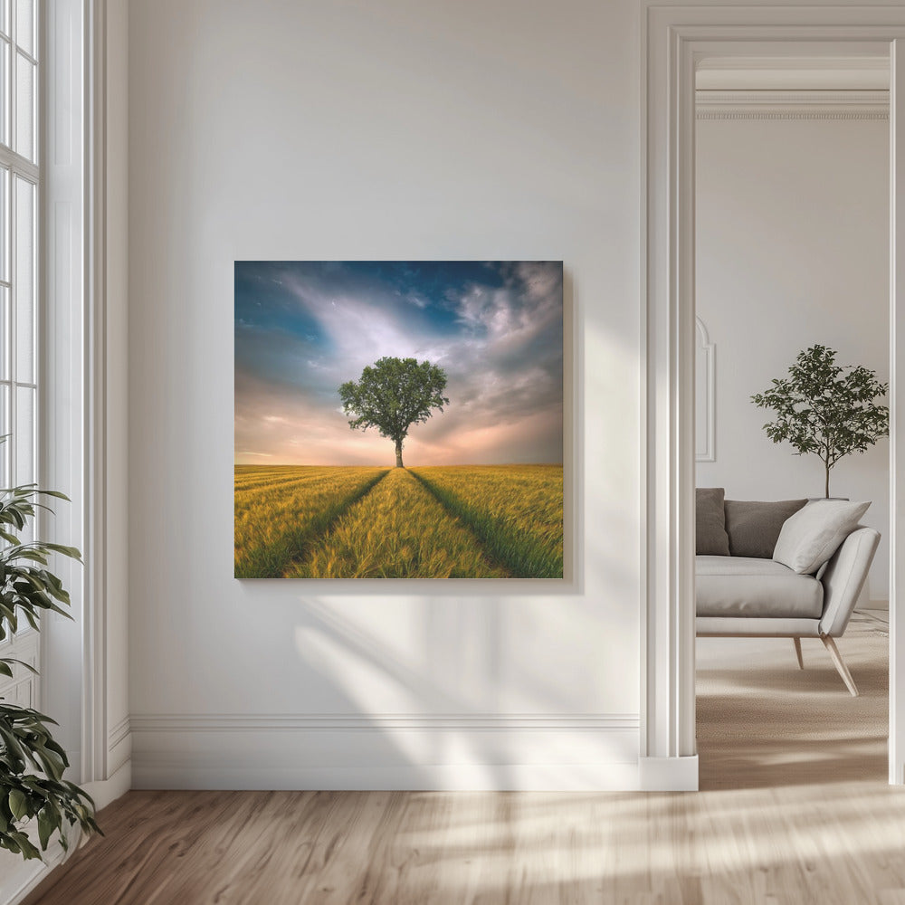 One | Canvas