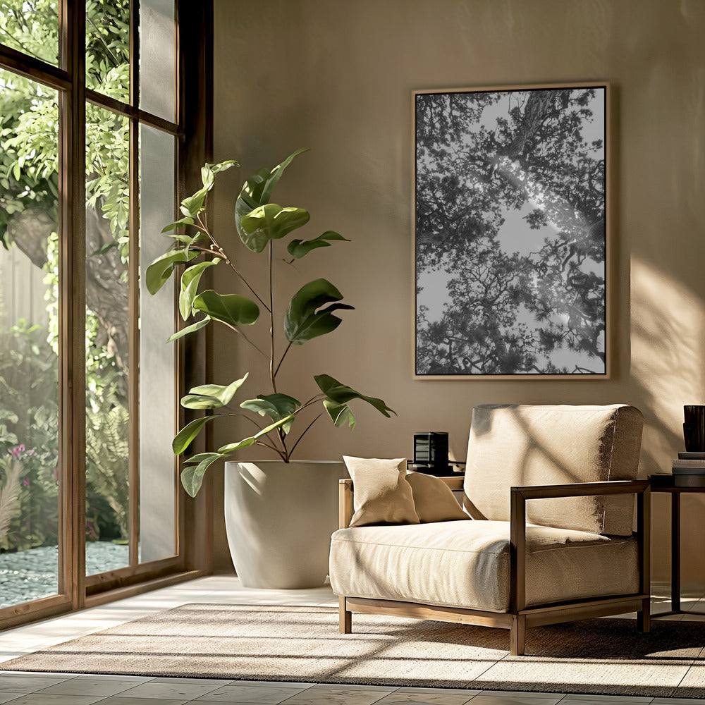 Canopy Symphony | Poster