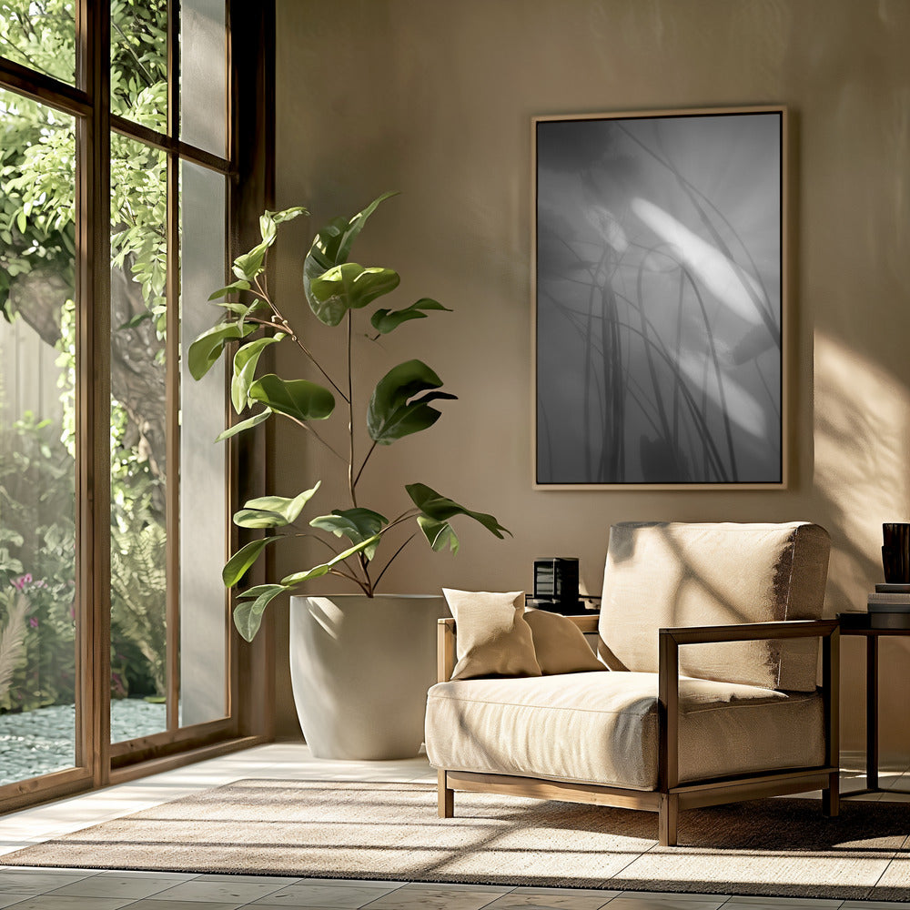 Water Lilly | Poster