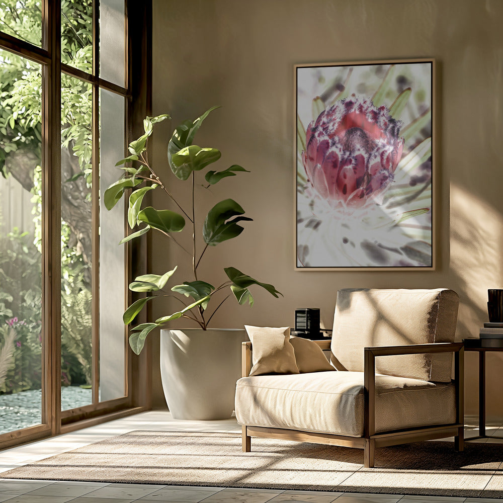 Blooming Protea Flower | Poster