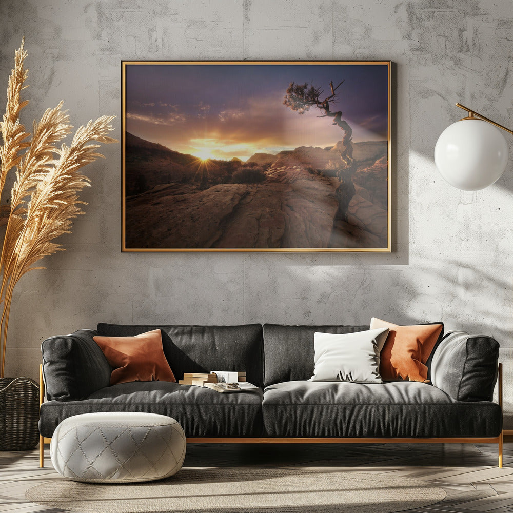 Distorted | Canvas