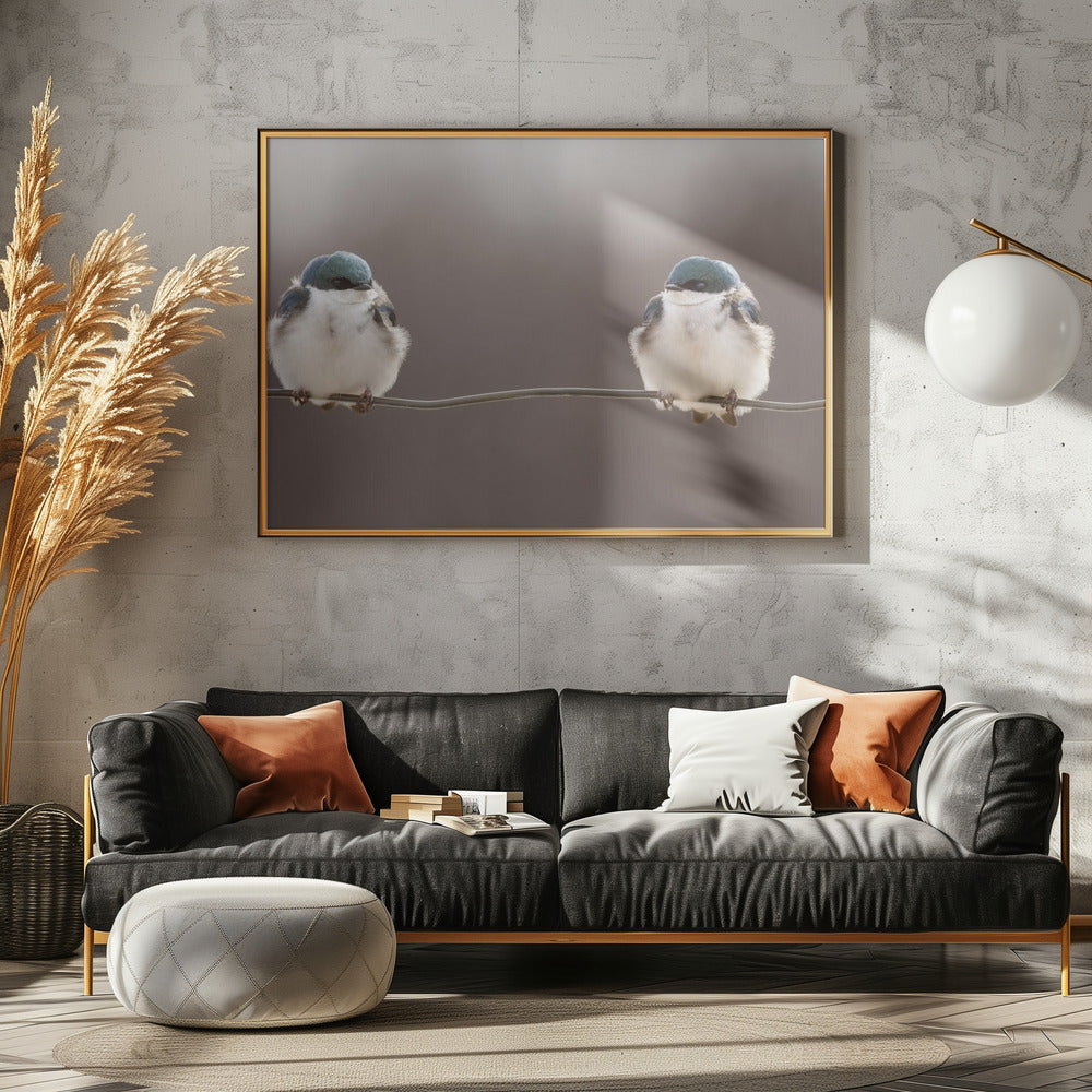 Birds on a wire | Canvas