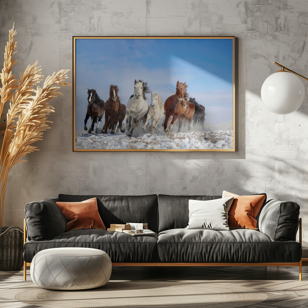 Mongolia Horses | Canvas