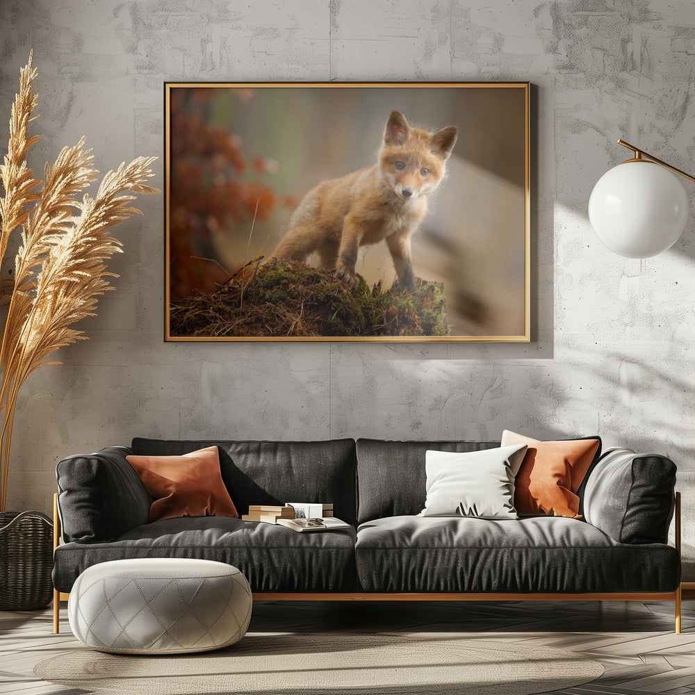 Fox | Canvas