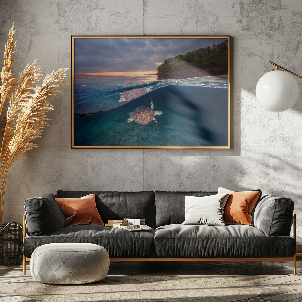 Green turtle with sunset | Poster