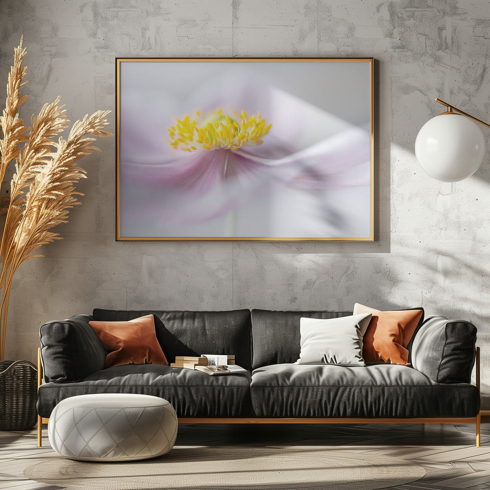 Anemone | Canvas