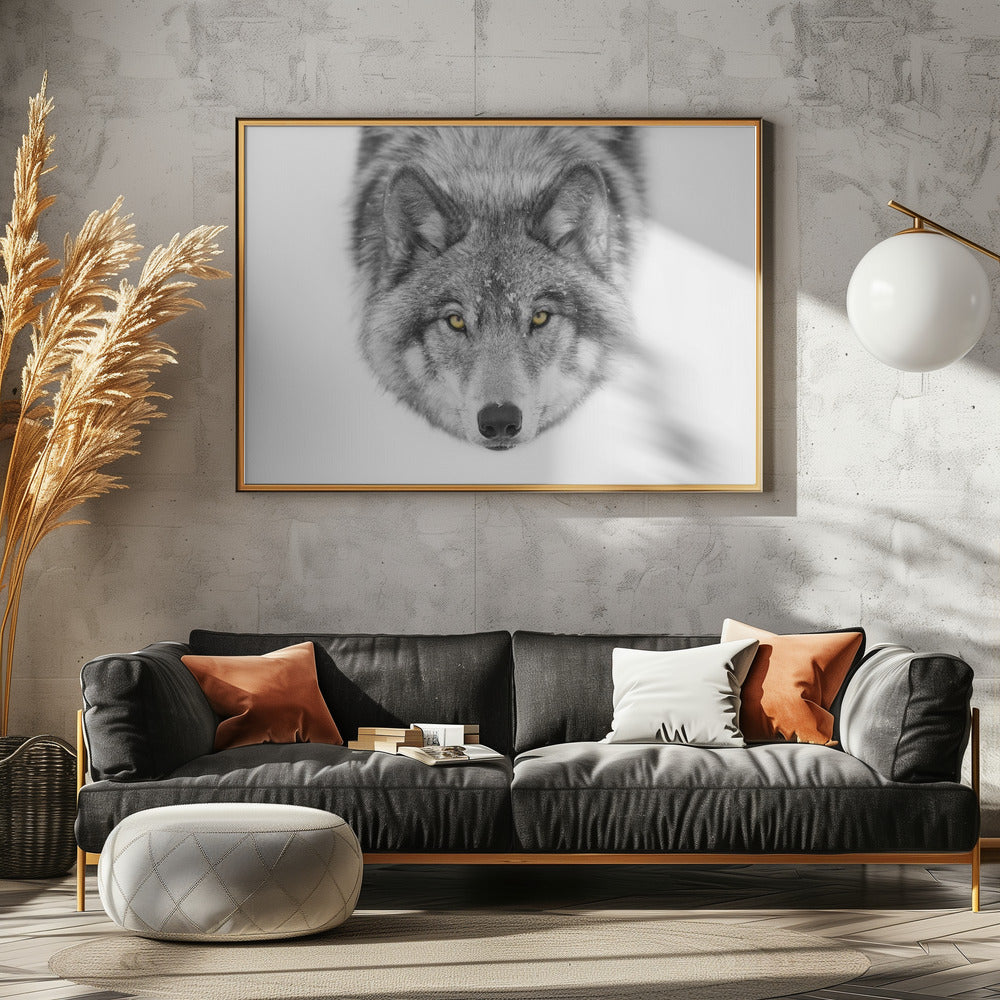 Yellow eyes - Timber Wolf | Canvas