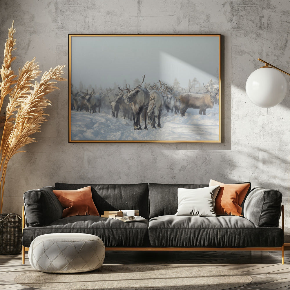 Reindeers | Poster