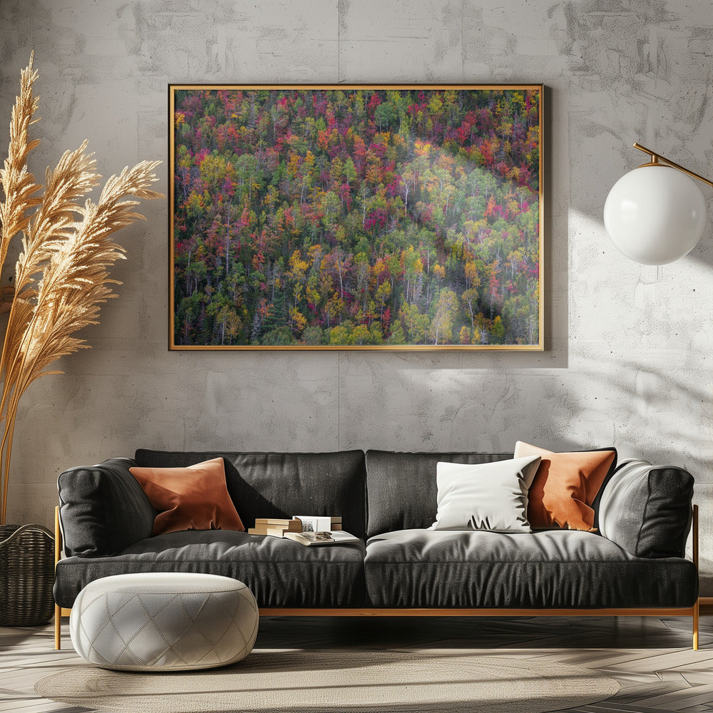 Color palette | Canvas