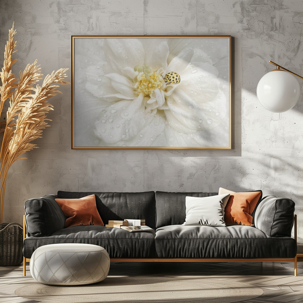 Dewdrops are the GEMS of morning | Canvas