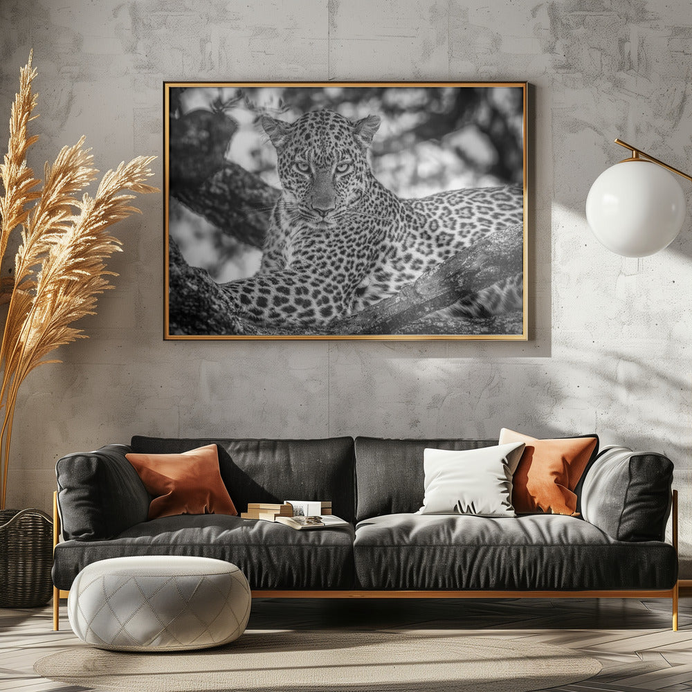 Monochrome beauty | Poster