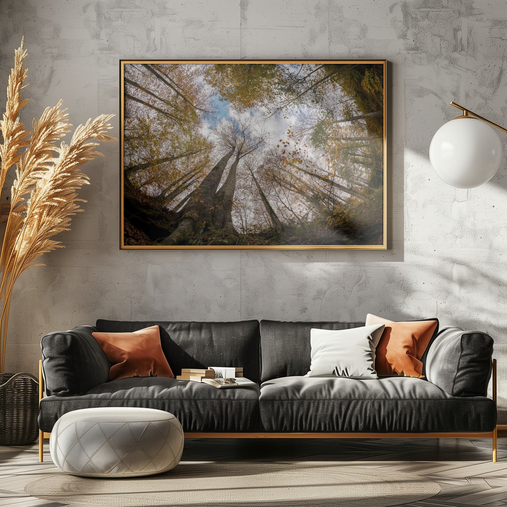 Forest | Canvas