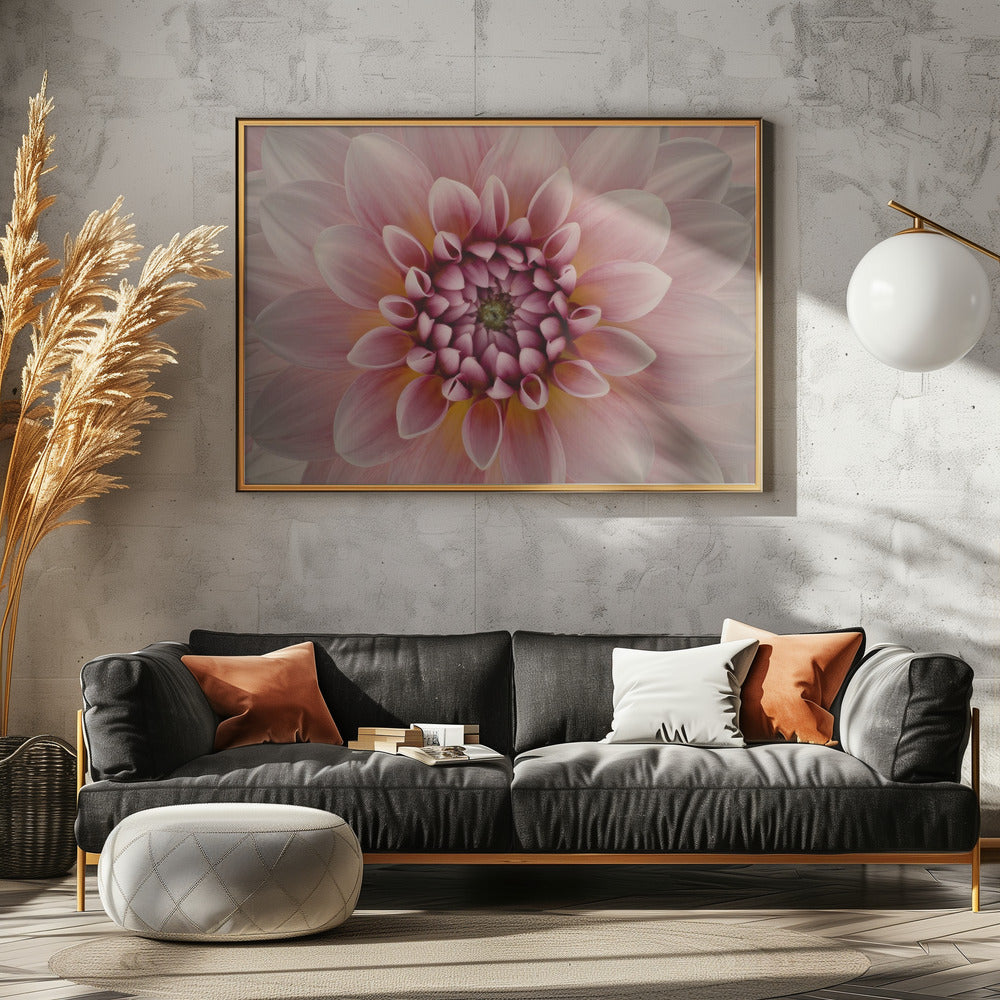 Blush | Poster