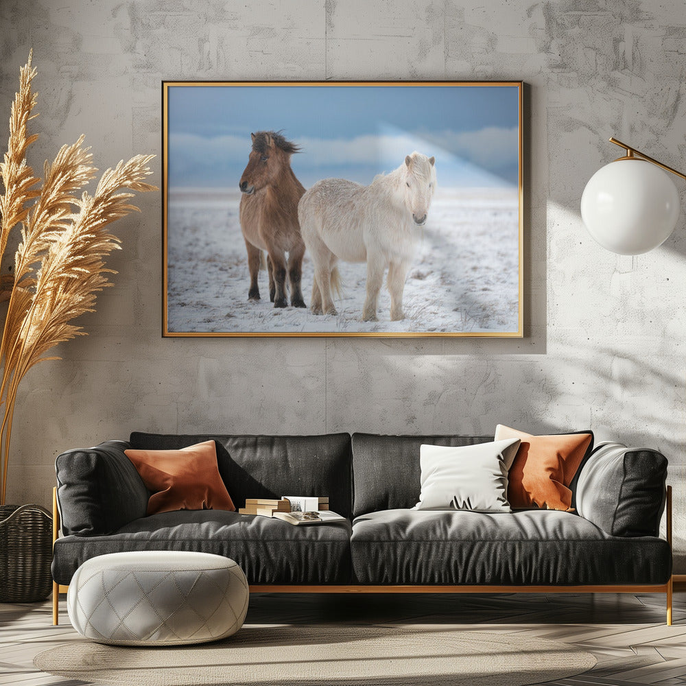 B R O T H E R S | Canvas