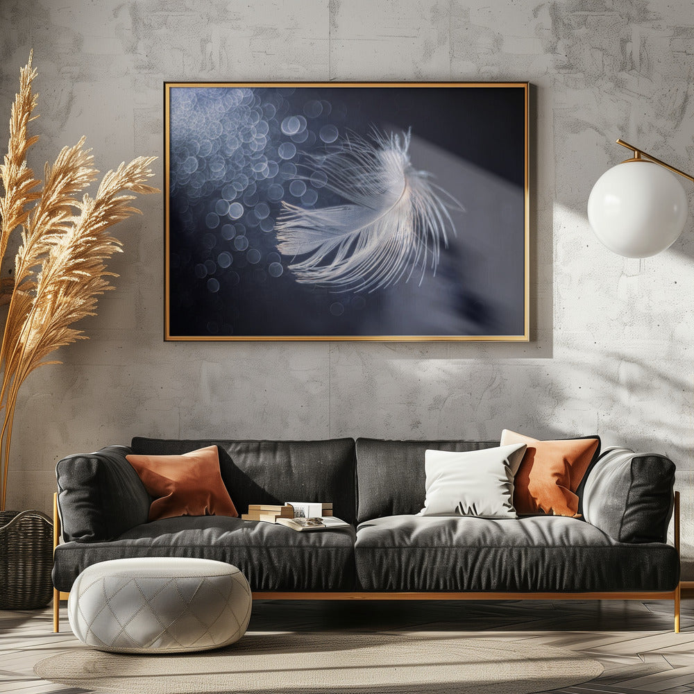 Placidity | Poster