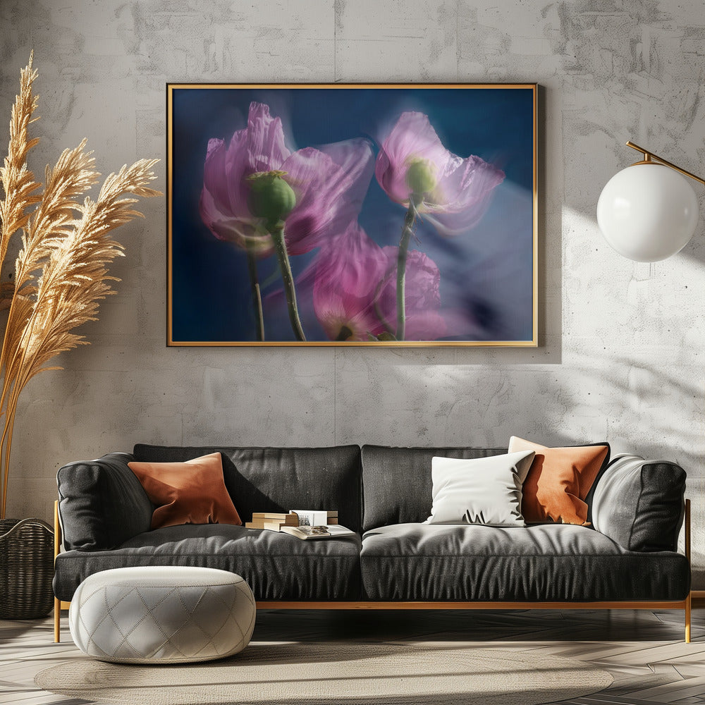 Poppies by the wayside | Poster