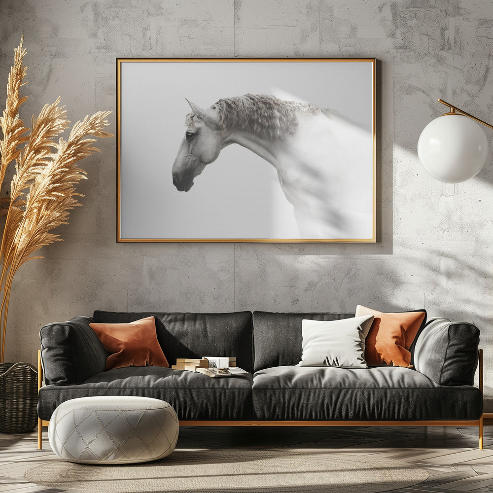Curly hair… | Canvas