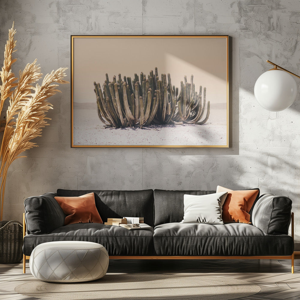 Peach Sky Cactus | Canvas