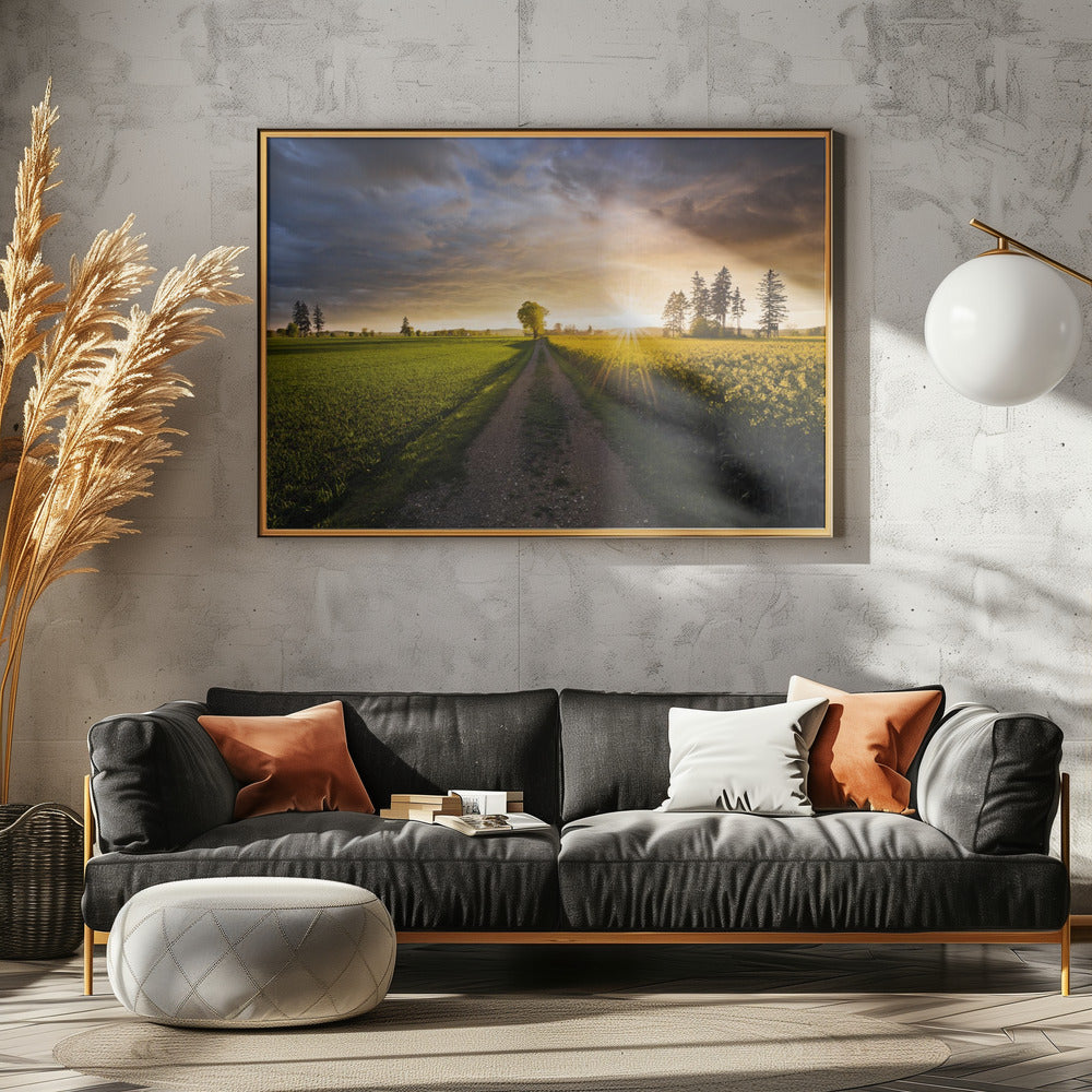 Summer Meadow | Canvas