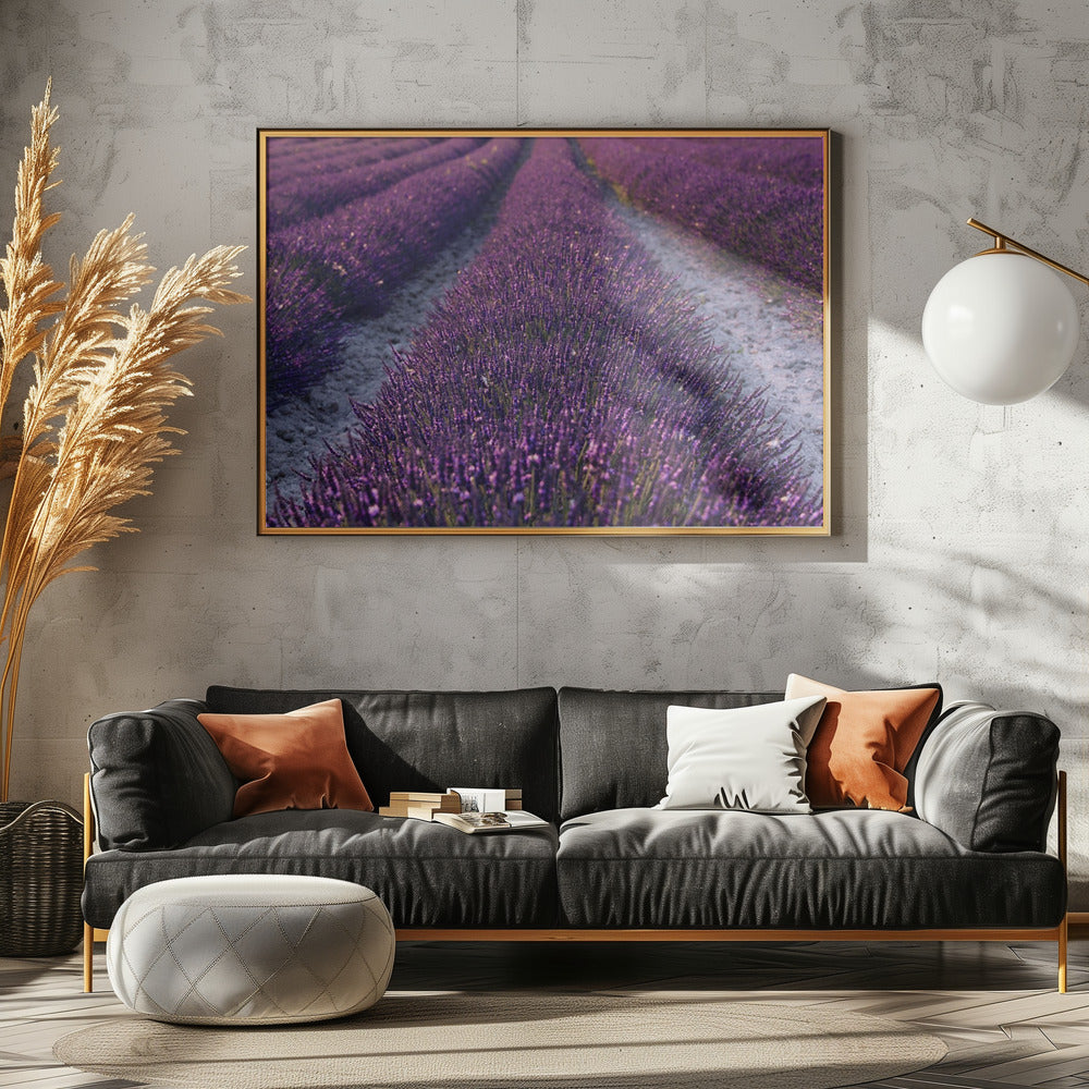Lavender Detail | Canvas