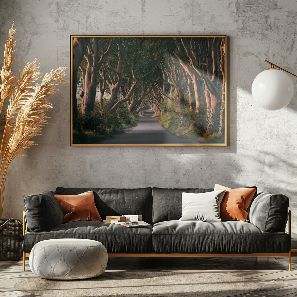 Red Avenue | Canvas