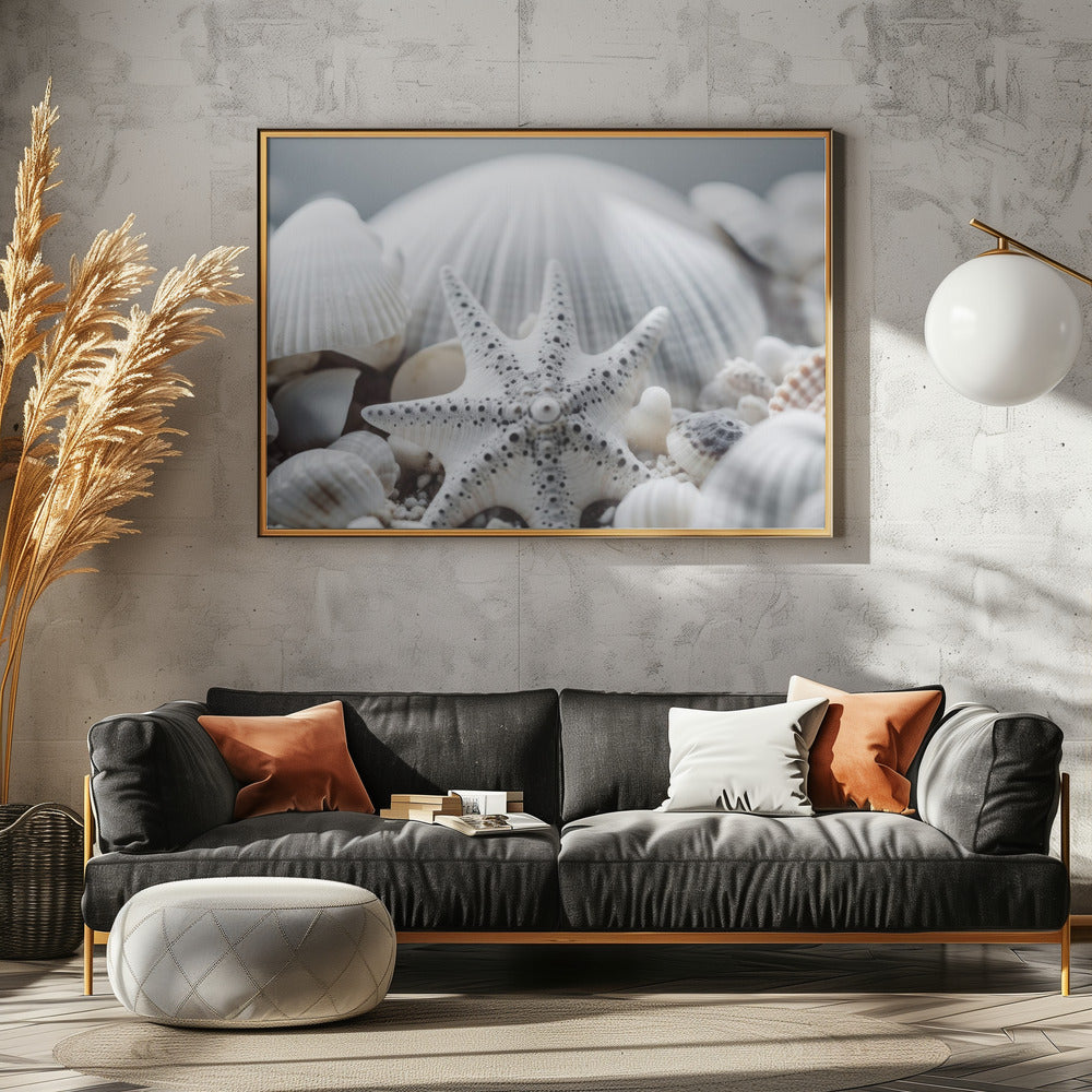 Seashell Symphony | Poster