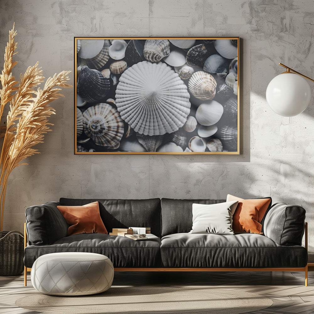 Shell Symphony | Poster