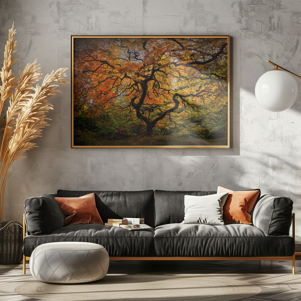 The maple Tree | Canvas