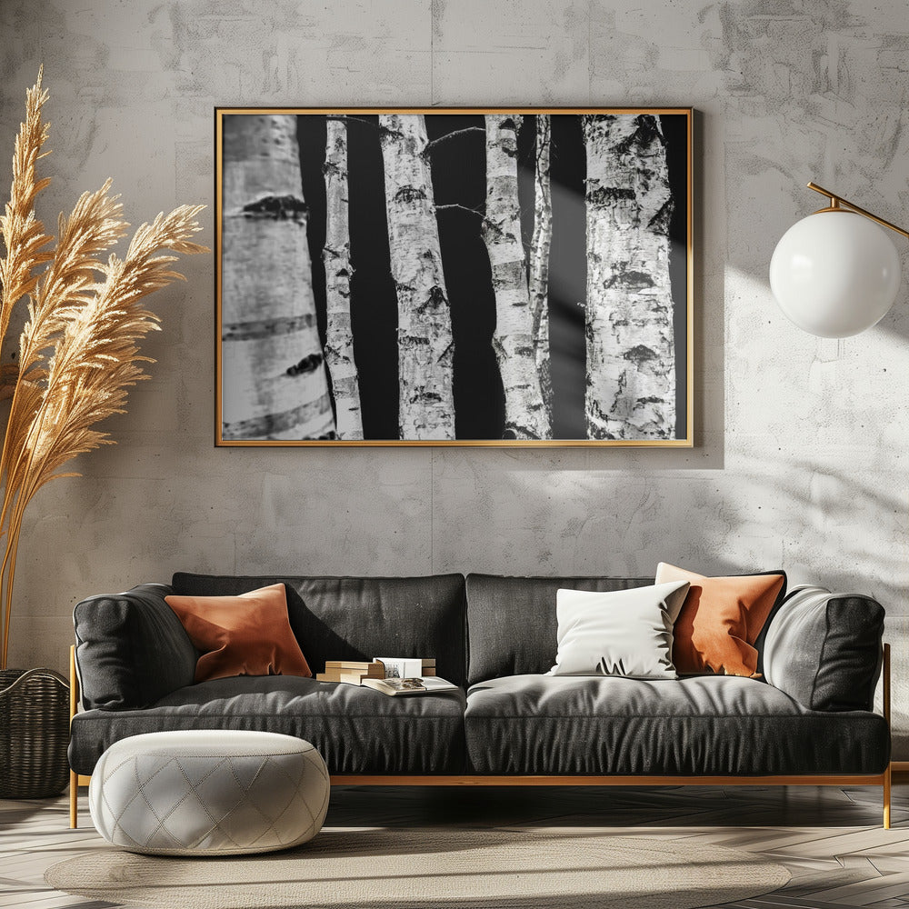 Birch Trees | Canvas