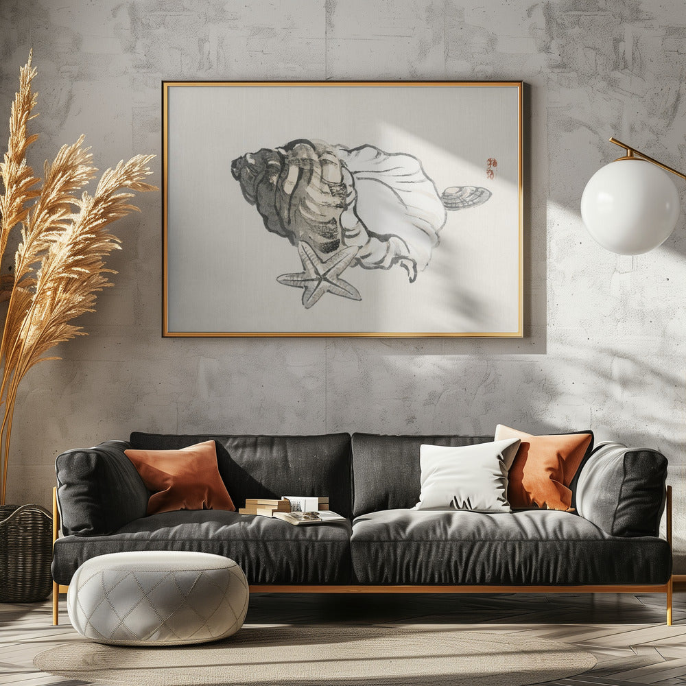 Star Fish and Conch | Canvas
