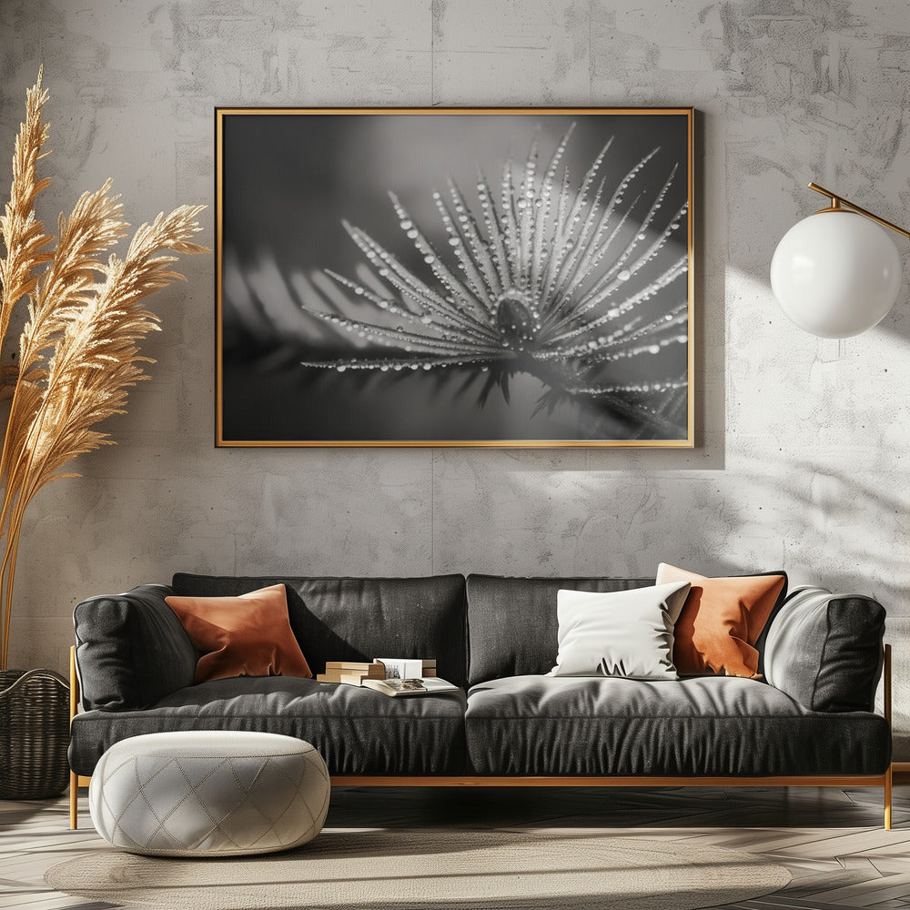 Dewy Elegance | Poster