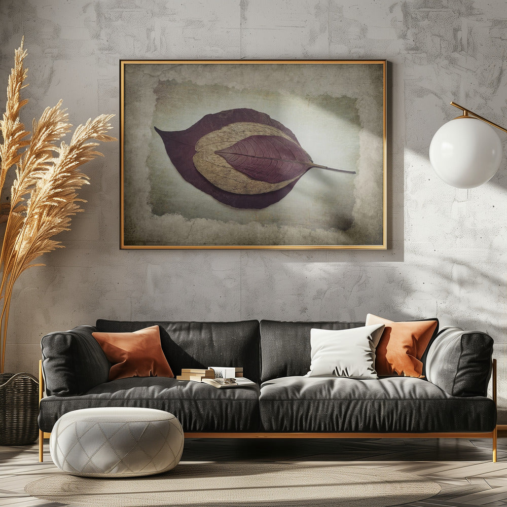 The Story of Nature | Canvas